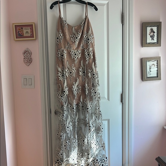 Dress the Population Long Lace Dress